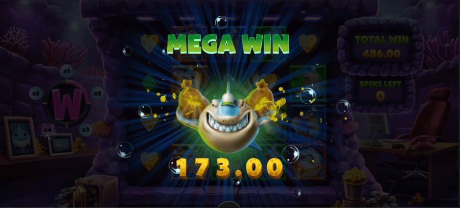 Mega Gewinn bei Shark Wash