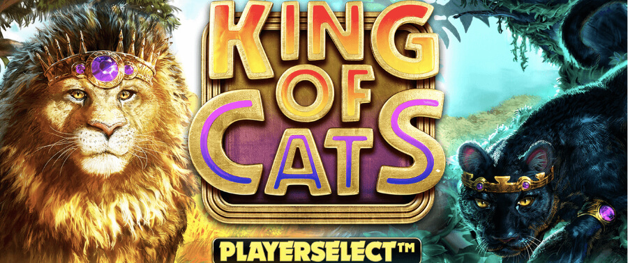 King of Cats von BTG