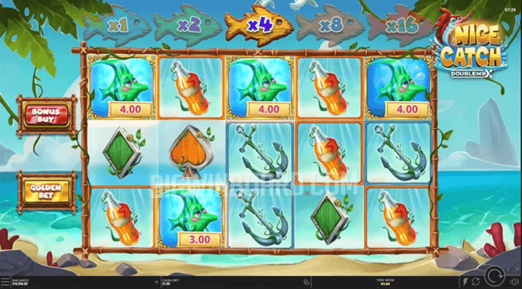 Nice Catch DoubleMax Spielfeld
