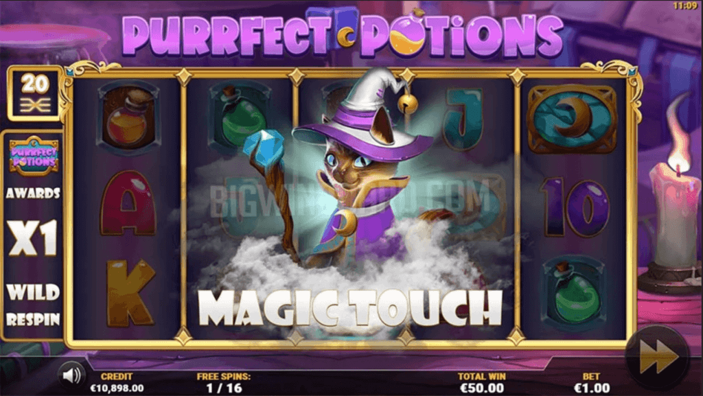 Purrfect Potions Special Feature