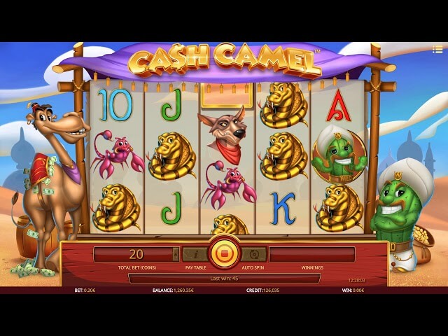 iSoftBet - Cash Camel