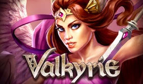 Bild Slot Valkyrie