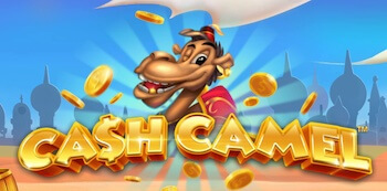 Bild Cash Camel Logo